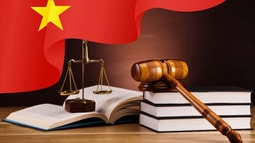 7 nhóm nhiệm vụ nhằm thực hiện hiệu quả Nghị quyết số 66-NQ/TW của Bộ Chính trị