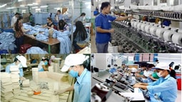 Cơ chế, chính sách đặc biệt phát triển kinh tế tư nhân