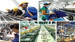  Kế hoạch hành động của Chính phủ về phát triển kinh tế tư nhân