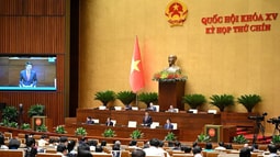Giao thêm thẩm quyền cho công an cấp xã phải đi đôi với xác định rõ tiêu chuẩn về năng lực và trình độ