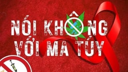 Triển khai Tháng hành động phòng, chống ma tuý năm 2025