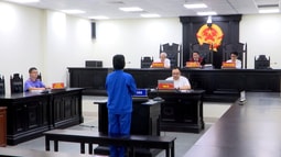 Lãnh án 10 tháng tù do đăng tải nội dung xuyên tạc trên mạng xã hội