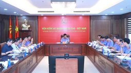 Ban Thường vụ Đảng ủy cho ý kiến đối với Văn kiện và tài liệu Đại hội đại biểu Đảng bộ VKSND tối cao lần thứ I, nhiệm kỳ 2025 - 2030