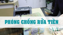 Sửa Quy chế tổ chức và hoạt động của Ban Chỉ đạo phòng, chống rửa tiền