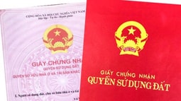 Cấp giấy chứng nhận quyền sử dụng đất đối với trường hợp thửa đất có diện tích nhỏ hơn diện tích tối thiểu