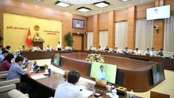 UBTVQH cơ bản tán thành việc không bổ sung hình phạt tù chung thân không xét giảm án là hình phạt chính
