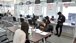 Quy định tổ chức các cơ quan chuyên môn thuộc UBND tỉnh và UBND xã