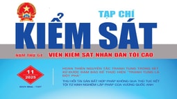 Giới thiệu Tạp chí Kiểm sát số 11/2025