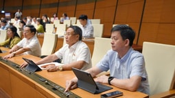 Quốc hội biểu quyết thông qua Luật Hoá chất (sửa đổi)