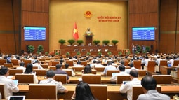 Quốc hội thông qua Luật Thuế tiêu thụ đặc biệt (sửa đổi), Luật Thuế thu nhập doanh nghiệp (sửa đổi)