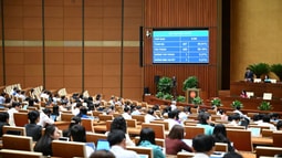 Quốc hội thông qua Luật sửa đổi, bổ sung một số điều của Luật Doanh nghiệp