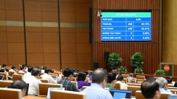 Luật sửa đổi, bổ sung một số điều của 5 luật thuộc lĩnh vực tư pháp được Quốc hội thông qua