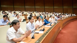 Quốc hội thông qua Luật sửa đổi, bổ sung một số điều của Luật xử lý vi phạm hành chính