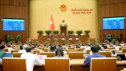 Số lượng thành viên Ủy ban Thường vụ Quốc hội khoá XV là 20 người