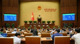 Chủ tịch Hội đồng bầu cử quốc gia là Chủ tịch Quốc hội