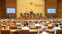 Quốc hội thông qua Luật Cán bộ, công chức (sửa đổi)