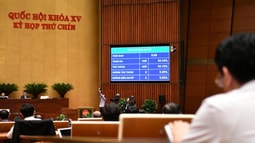 Quốc hội thông qua Luật Tham gia lực lượng gìn giữ hòa bình của Liên hợp quốc