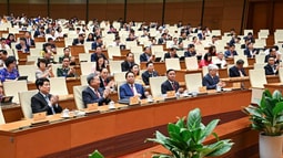 Quốc hội thông qua Luật Năng lượng nguyên tử (sửa đổi)
