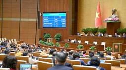Quốc hội thông qua Luật Khoa học Công nghệ và Đổi mới sáng tạo