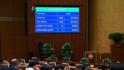 Quốc hội thông qua Nghị quyết về việc thi hành Luật Tổ chức của Tòa án và Viện Kiểm sát