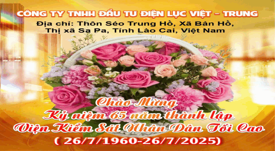 Công ty TNHH Đầu tư Điện lực Việt - Trung