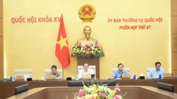 Ủy ban Thường vụ Quốc hội quyết định điều chỉnh Chương trình lập pháp năm 2025