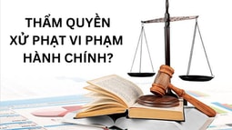 Quy định chi tiết Luật Xử lý vi phạm hành chính về thẩm quyền xử phạt vi phạm hành chính