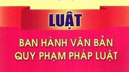 Triển khai thi hành Luật Ban hành văn bản quy phạm pháp luật