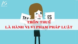 VKSND khu vực 1, tỉnh Hà Tĩnh phê chuẩn quyết định khởi tố bị can về tội trốn thuế