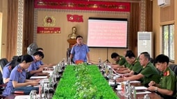 VKSND TP Đà Nẵng kiểm sát trực tiếp hồ sơ đề nghị đặc xá dịp 2/9/2025