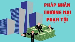 Bàn về quyết định hình phạt đối với pháp nhân thương mại phạm tội
