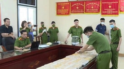 VKSND khu vực 11 (Phú Thọ) phối hợp với Cơ quan điều tra trong đợt cao điểm tấn công, trấn áp, xử lý tội phạm