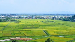 Quy định mới liên quan đến bồi thường, chuyển mục đích và đấu giá quyền sử dụng đất