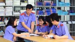 Chiến lược phát triển nhân lực ngành Kiểm sát nhân dân đáp ứng yêu cầu của kỷ nguyên phát triển mới