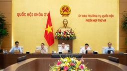 Chủ tịch Quốc hội đánh giá rất cao báo cáo của Chính phủ, TAND tối cao, FV88 nhà cái World Cup 2026 tối cao về công tác thi hành Fv88 com Nhà Cái Fv88 năm 2025