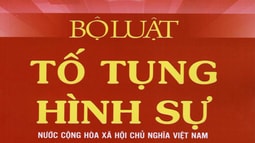 Xem xét việc kháng nghị theo thủ tục giám đốc thẩm trong Fv88 com Nhà Cái Fv88 tố tụng hình sự