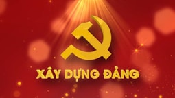 Bộ Chính trị ban hành Kết luận về thực hiện một số nhiệm vụ trọng tâm trong hoạt động của tổ chức cơ sở đảng