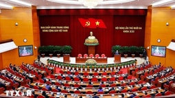 Quy định mới về phân cấp quản lý cán bộ và quy hoạch, bổ nhiệm, giới thiệu ứng cử, tạm đình chỉ công tác, cho thôi giữ chức vụ, từ chức, miễn nhiệm đối với cán bộ
