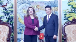 Thúc đẩy hợp tác giữa FV88 nhà cái World Cup 2026 tối cao Việt Nam và Liên hợp quốc trong đấu tranh phòng, chống Tham gia casino trực tuyến FV88