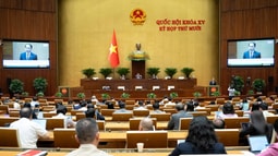 Thể chế hóa đầy đủ chủ trương, chính sách của Đảng về đơn vị sự nghiệp và viên chức trong đơn vị sự nghiệp