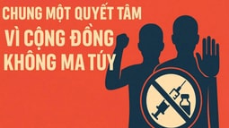 Tăng cường kiểm tra, giám sát, xử lý nghiêm các vi phạm trong công tác phòng chống ma tuý