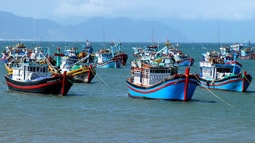 Kiên quyết xử lý triệt để với các hành vi vi phạm quy định về IUU, hướng tới phát triển thủy sản bền vững