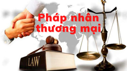 Audio: Quy định về đồng phạm đối với pháp nhân thương mại phạm tội theo Fv88 com Nhà Cái Fv88 của một số quốc gia