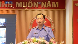 VKSND TP Hồ Chí Minh triển khai công tác Kiểm sát năm 2026