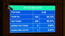Quốc hội thông qua Luật Chuyển giao người đang chấp hành án phạt tù