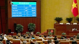 Luật Tương trợ tư pháp về hình sự được Quốc hội thông qua