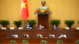 Trách nhiệm minh bạch của AI: Tuyến phòng thủ đầu tiên bảo vệ người dùng