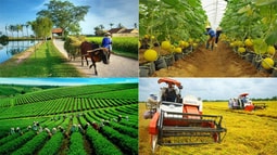 Kết luận của Bộ Chính trị về nông nghiệp, nông dân, nông thôn đến năm 2030, tầm nhìn đến năm 2045