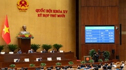 Quốc hội thông qua Luật Tình trạng khẩn cấp
