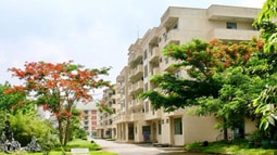 Quy định đối tượng thuê nhà ở công vụ tại các địa phương thuộc diện sắp xếp đơn vị hành chính cấp tỉnh